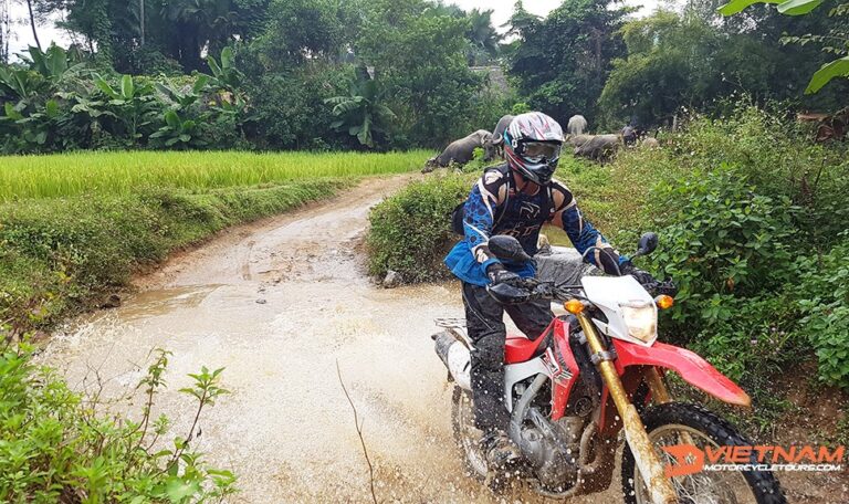 Vietnam-Motorbike-Tour